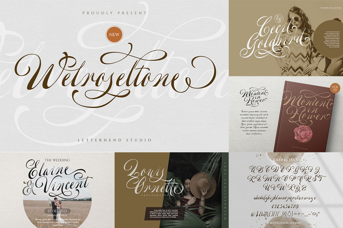 ALL-YOU-NEED-BUNDLE ULTIMATE VOLUME, a Script Font by Letterhend Studio