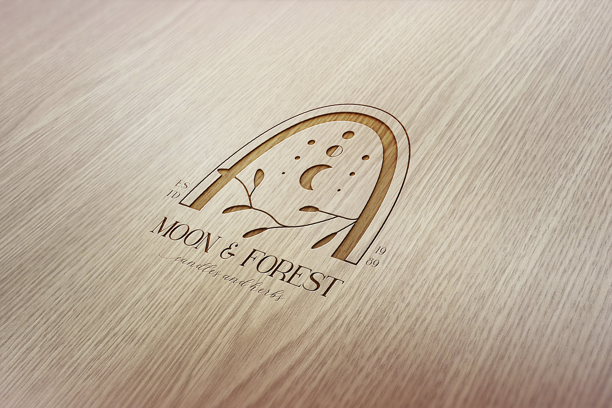ONLY MOON SET, a Branding & Logo Template by Luna Dreams (Photo 7 of 7)