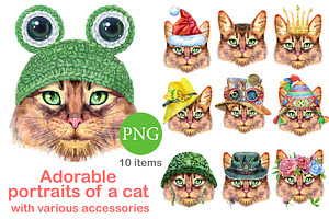Portraits of Somali cat, an Animal Illustration by Watercolor fantasy