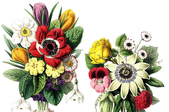 Vintage Botanical Bouquets preview 3