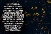 Iconic – Bold Brush Font, a Handwritten Font by Dm Studio (Thumbnail 5 of 7)