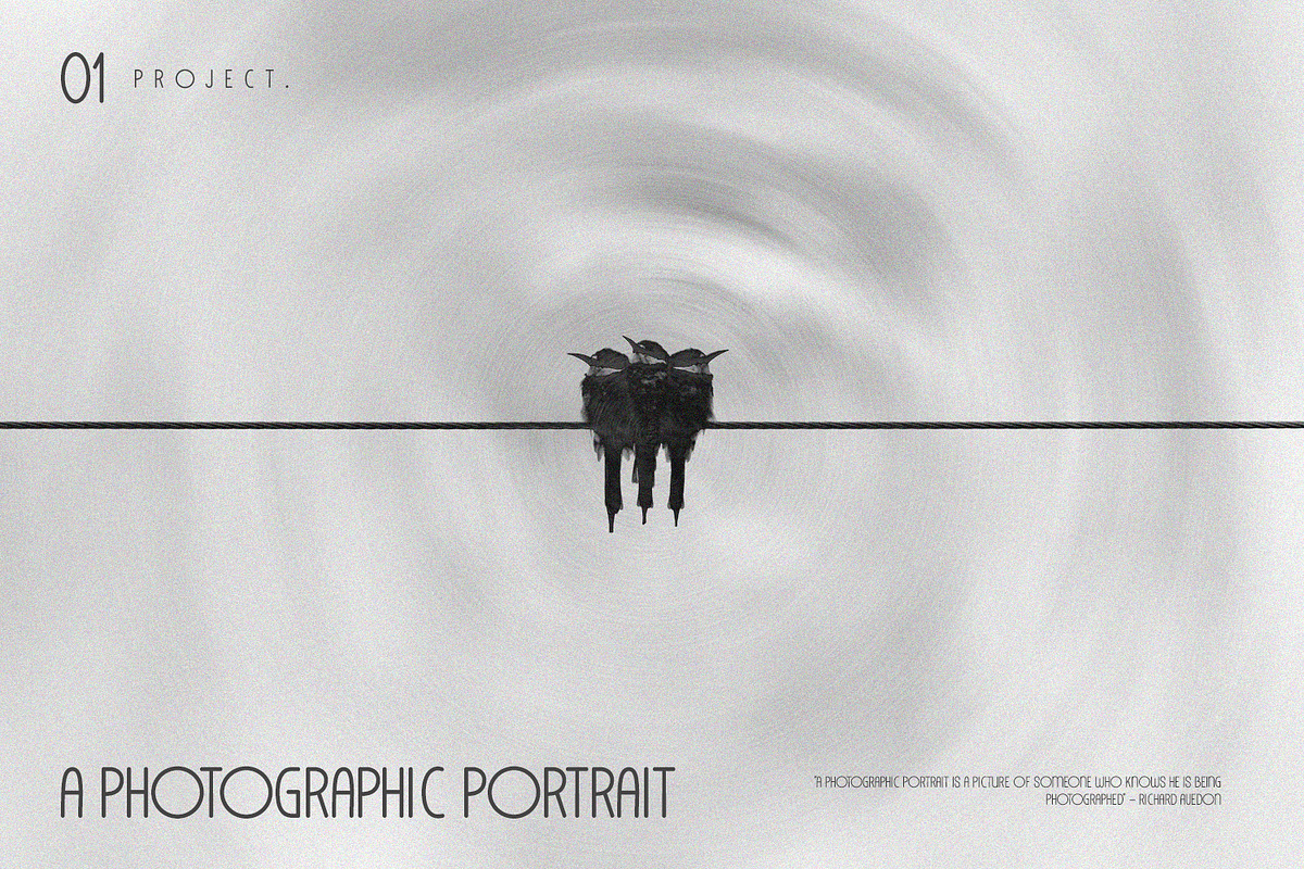 Liceturs Typeface Monoline Font, a Sans Serif Font by Maulana Creative (Photo 7 of 7)