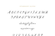 Stokebridge + Bonus Vector, a Script Font by vuuuds (Thumbnail 2 of 4)