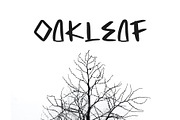 Magalon Unique Display Font, a Sans Serif Font by Giant Design (Thumbnail 4 of 10)