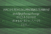 Archi Light Font, a Script Font by skyclick (Thumbnail 4 of 4)