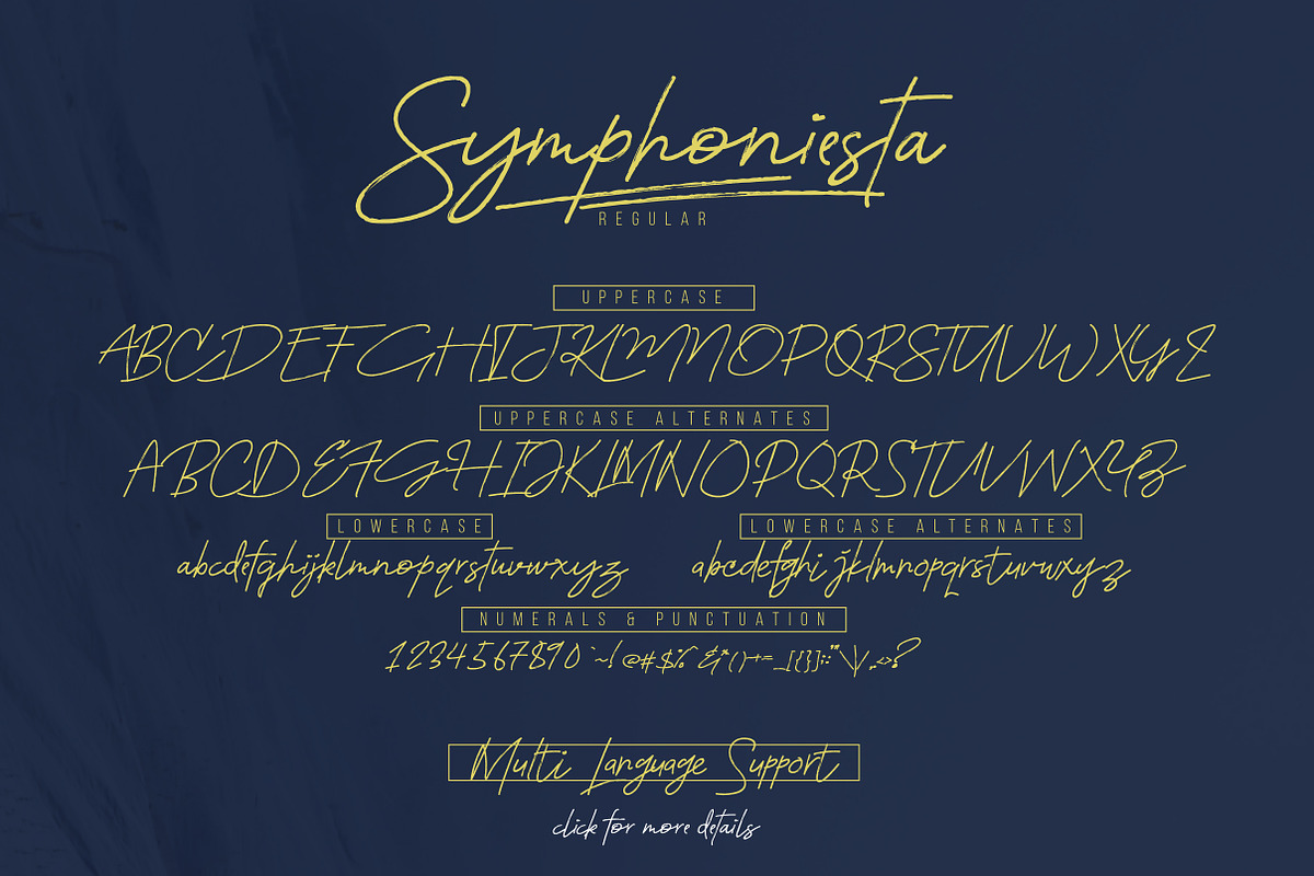 Symphoniesta Brushtype preview 4