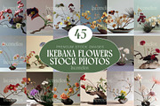 45 Japanese Ikebana Flowers Photos, a Nature Photo by Incomelion (Thumbnail 1 of 13)