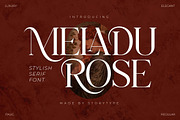 Meladu Rose Stylish Font, a Serif Font by Storytype Studio (Thumbnail 20 of 30)