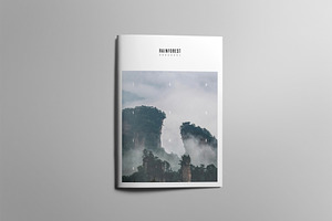 RAINFOREST Brochure / Portfolio