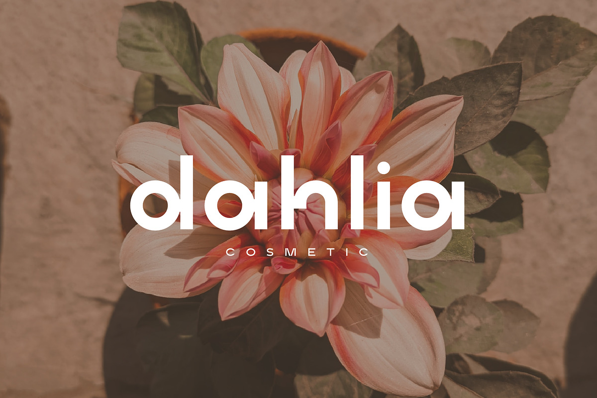 Middle Name - Minimal Classic Font, a Sans Serif Font by Graphicfresh (Photo 5 of 11)