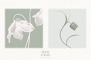 Bloom & Shade Botanical PNG Elements, an Object Graphic by alonahaidash (Thumbnail 12 of 13)