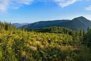 Summer Carpathian mountains evening view. Stony Gorgany massif,, a Nature Photo by YuriyB