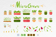 Microgreens Vector Set 1, a Food Illustration by ElenaKovalyova (Thumbnail 17 of 21)