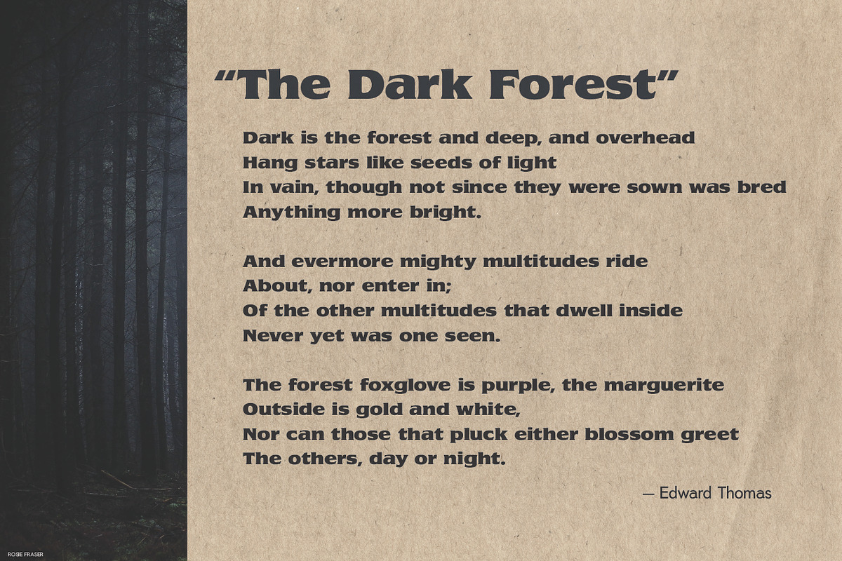 Bachman | Dark Display Type!, a Serif Font by StudioWorks (Photo 4 of 8)