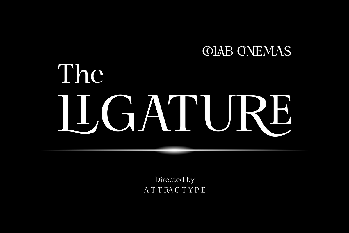 Shogi - Modern Serif Typeface, a Serif Font by Attractype (Photo 2 of 8)