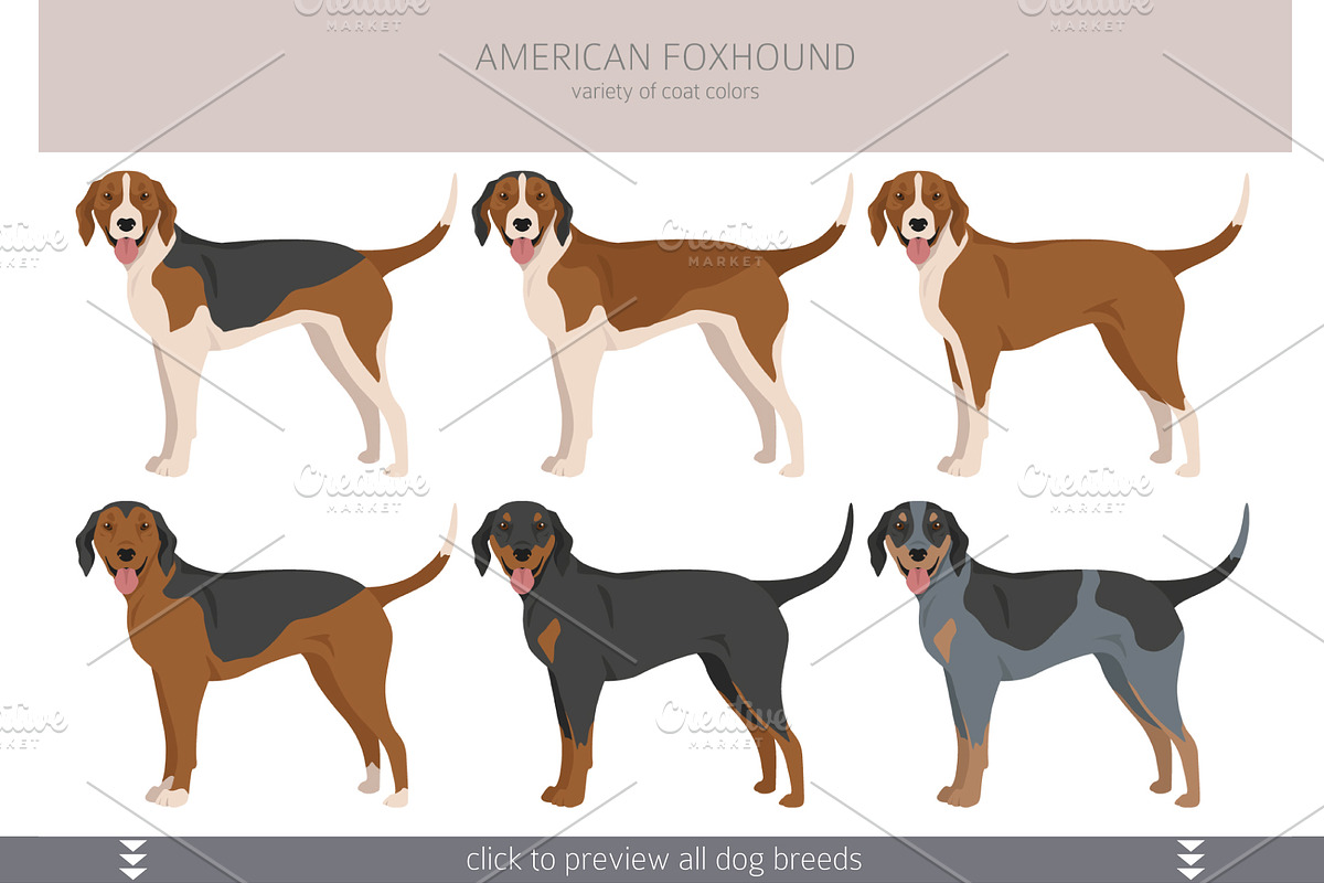 Scenthound dogs Creative Market