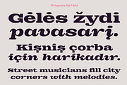 DT Augustina Slab 7 Subfamily, a Slab Serif Font by Deveze Type Foundry (Thumbnail 14 of 31)