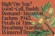Rakizen Bisrony — Modern & Classic, a Serif Font by Enxyclo Studio (Thumbnail 11 of 23)