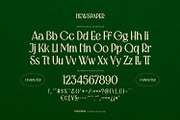 Newspaper Modern Vintage Sans Serif, a Sans Serif Font by ikiiko (Thumbnail 6 of 7)