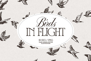 Sketch-Style Bird Flock Vector Set, an Animal Illustration by TheMountBirdStudio