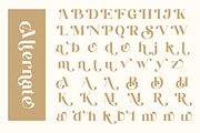 Modern Luxury Serif - Rocalie, a Serif Font by Qweera Studio (Thumbnail 9 of 12)