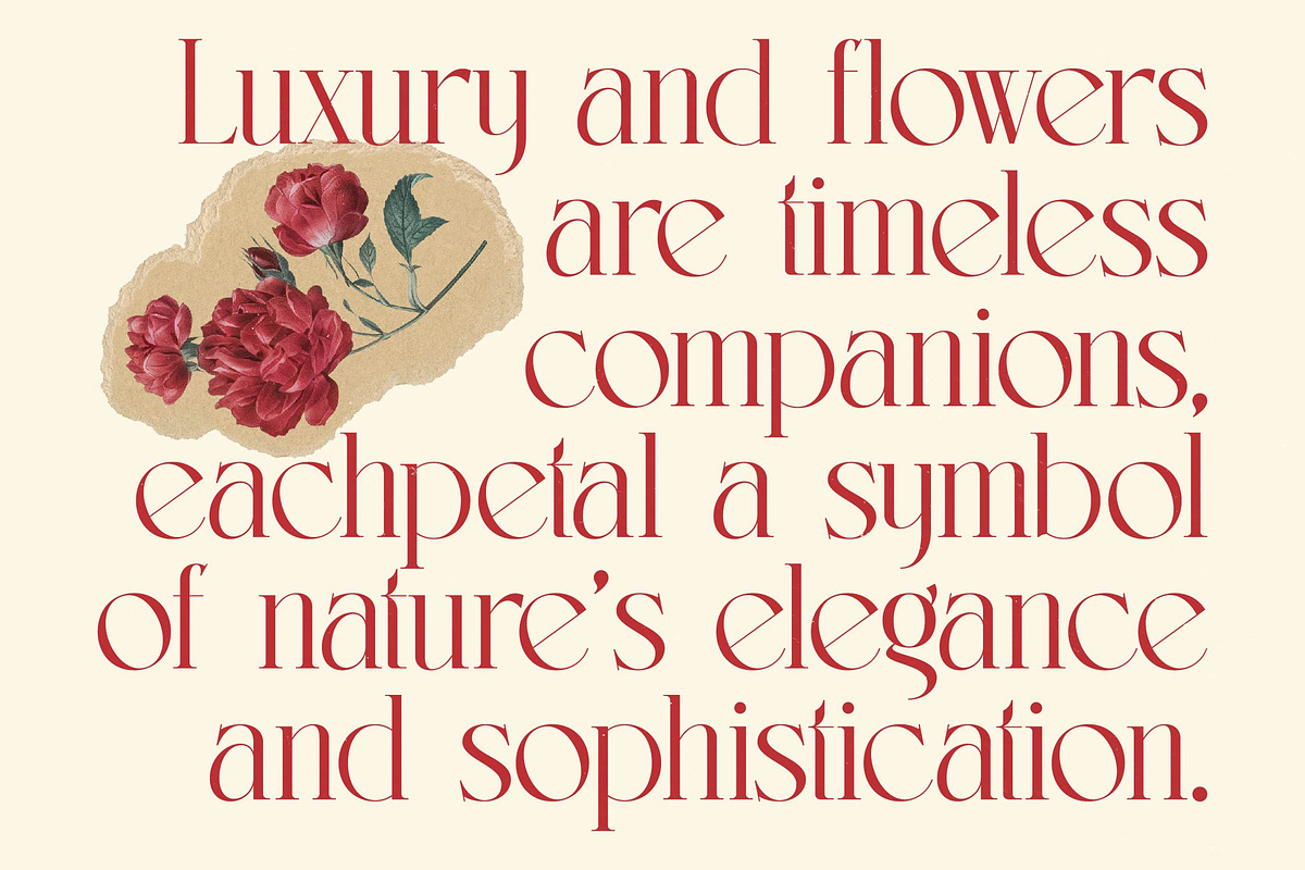 Lermith - Tall Luxury Serif Font, a Serif Font by timelesstype.co (Photo 14 of 20)