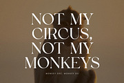 Satoru Elegant Serif Font, a Serif Font by Perfectype (Thumbnail 5 of 6)