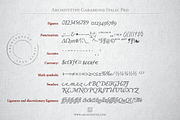 Archive Garamond Pro Family of 4, a Font by Archive Type Fonts (Thumbnail 10 of 14)