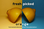 Miguna, a Sans Serif Font by twinstd (Thumbnail 9 of 13)