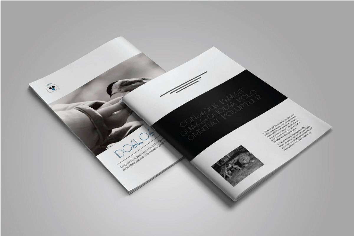 A4 Black & White Portfolio, a Brochure Template by marone (Photo 5 of 5)