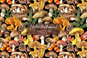 Hello Autumn!