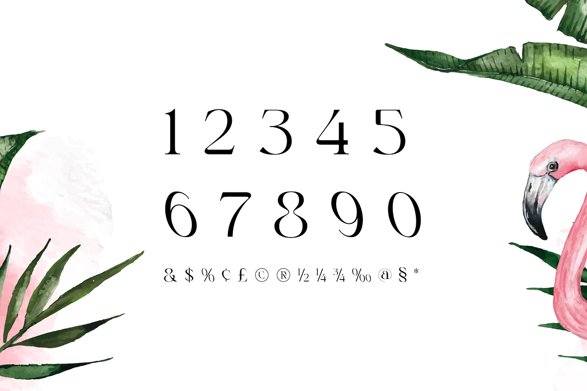 Rogain - Modern Serif, a Serif Font by LoneArmy (Photo 11 of 12)