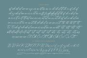 Sheyotu Etrella Stylish Handwritten, a Script Font by stylishtype.co (Thumbnail 19 of 20)