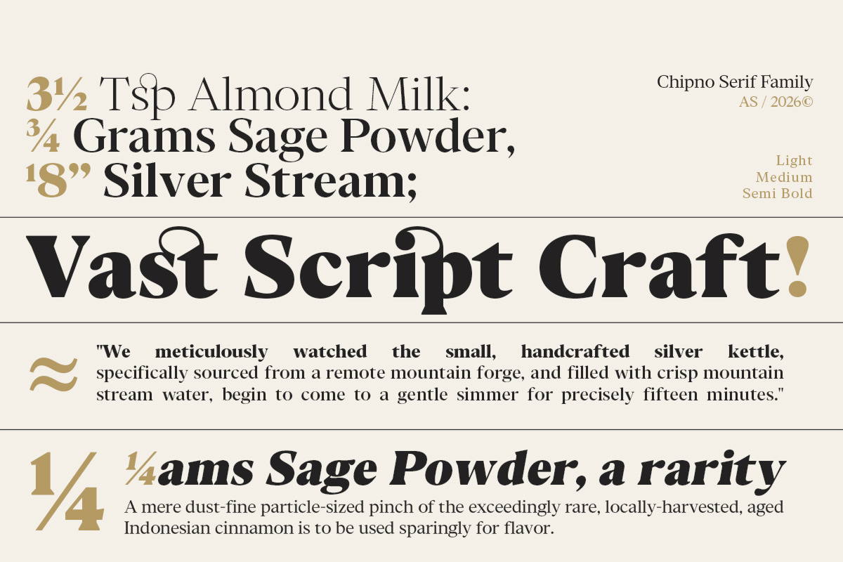 Chipno, a Serif Font by Attract Studio (Photo 8 of 16)