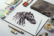 Set of Horses. Hand drawn, an Animal Illustration by lidiya_zayac (Thumbnail 3 of 3)