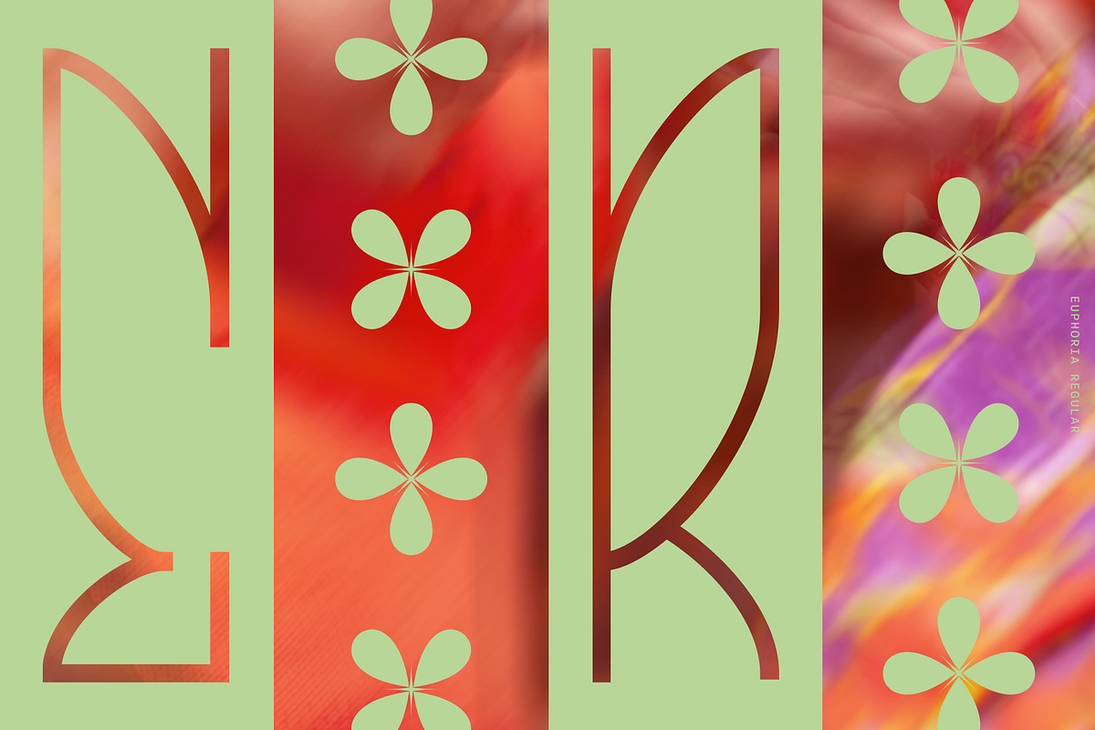 Euphoria Font Family by LARO Studio, a Font by larostudio (Photo 8 of 8)