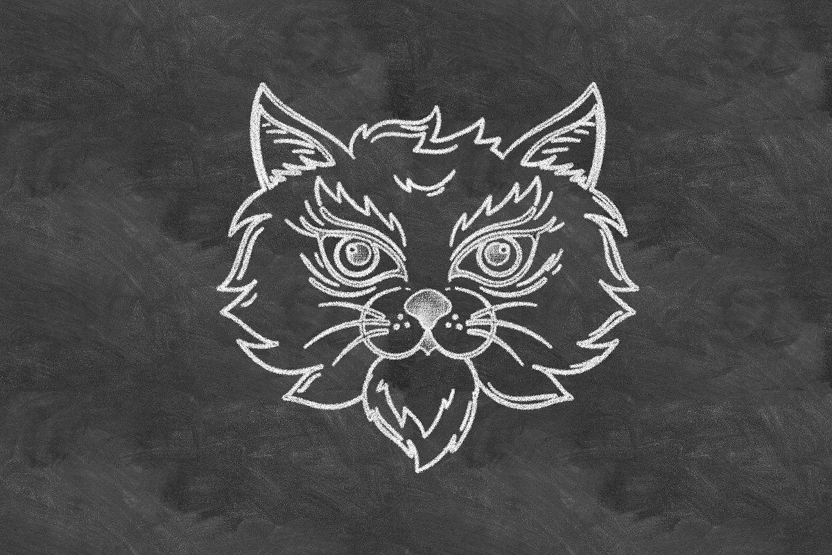 Chalk Creator Photoshop Action, an Action Add-On by MRI STUDIO (Photo 19 of 36)