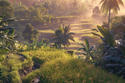 Golden Rice Field at Sunset, a Photo by LOGOCREATIVE (Thumbnail 21 of 27)