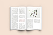 Seed - A4 Magazine Template, a Magazine Template by Tèrso. (Thumbnail 10 of 10)