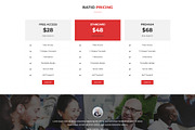 Ratio - Agency WordPress Theme, a WordPress Template by Themesvila (Thumbnail 7 of 8)