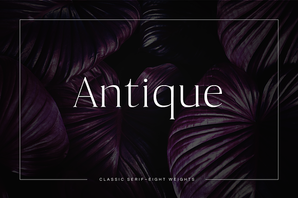 Antique - Luxury Serif Typeface preview 7