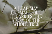 Moncky Modern Serif Font, a Serif Font by Perfectype (Thumbnail 4 of 8)