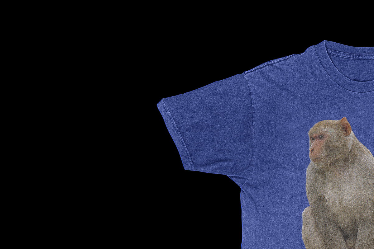 Vintage T-Shirt Mockup, a Shirt Mockup by secret-cache (Photo 3 of 5)