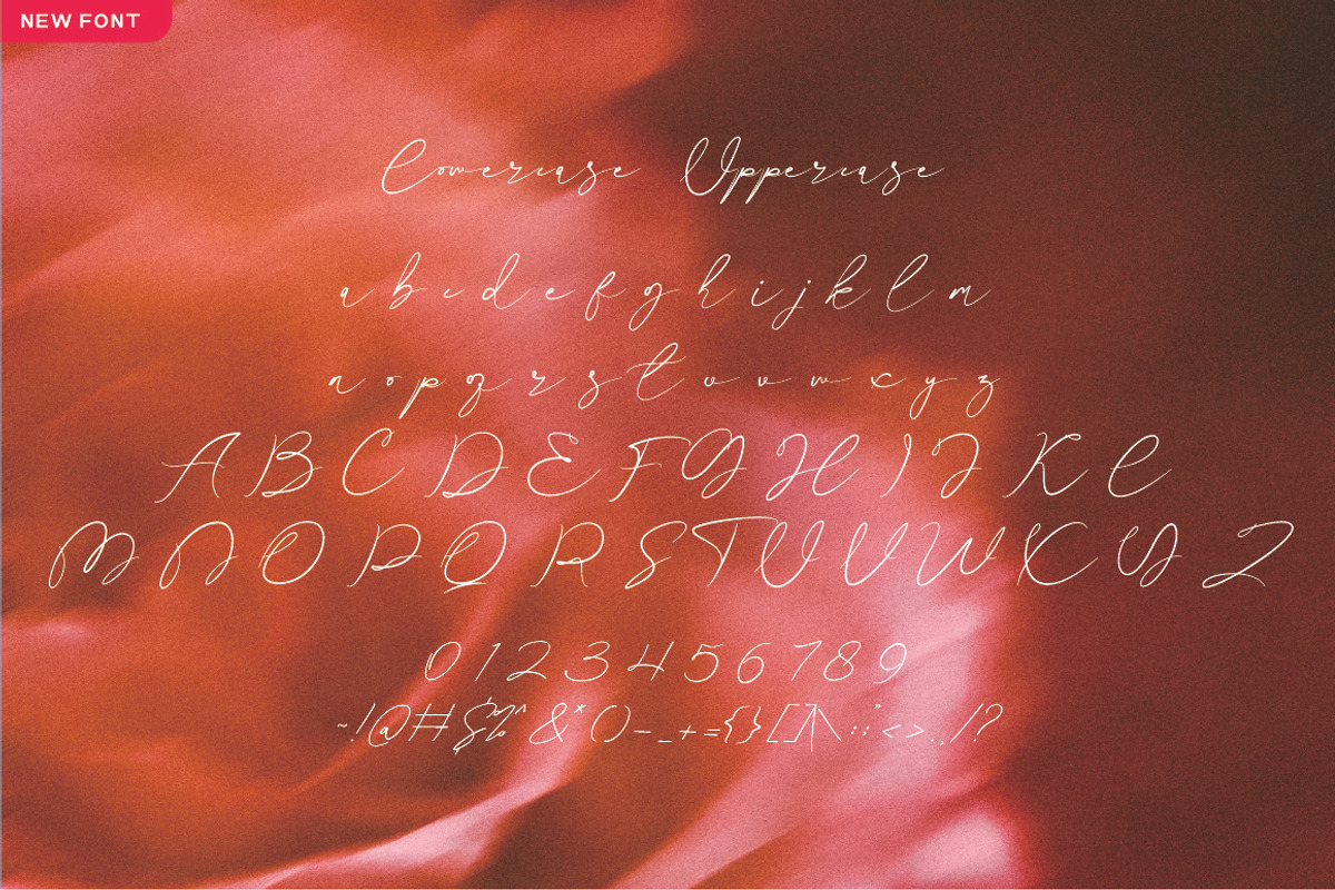 Dajestica Betamoora, a Script Font by JNJ Studio (Photo 8 of 9)