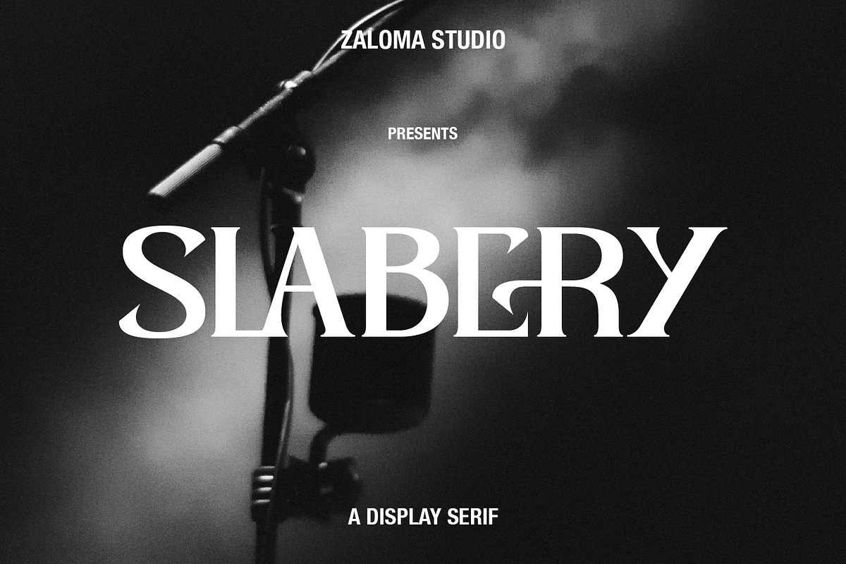 Slabery, a Serif Font by Zaloma Studio (Photo 1 of 18)