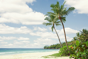 a la playa, a Photo by dmitryersler