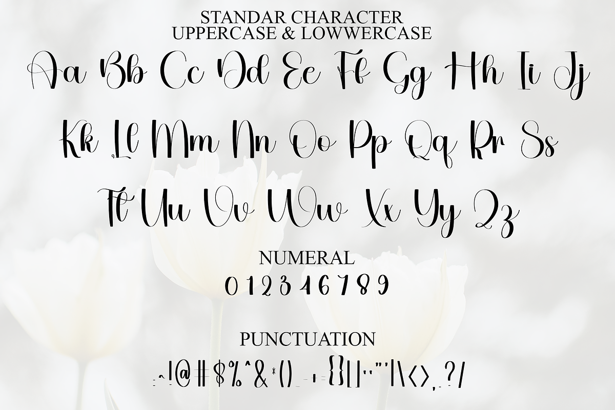 Fancy Party, a Handwritten Font by InermediaSTUDIO (Photo 3 of 8)