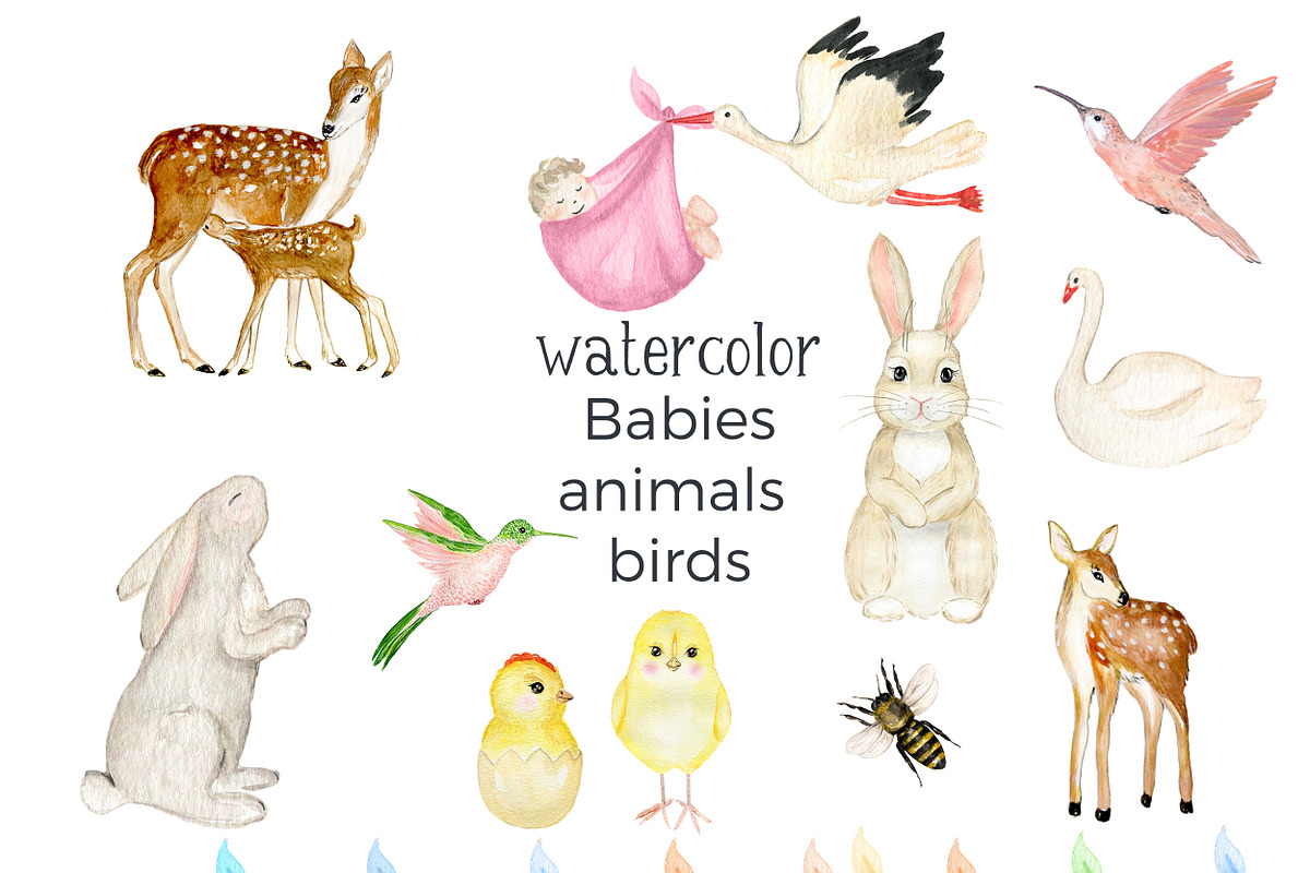 Baby Crest Creator Watercolor, an Illustration by LABFcreations (Photo 32 of 32)