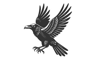 Flying Raven engraving sketch vector, an Animal Illustration by AlexArt