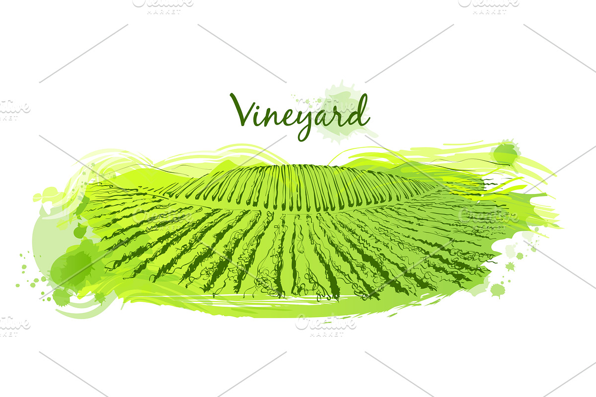 Vector sketch Green grass field on, an Animal Illustration by Alltruecolours